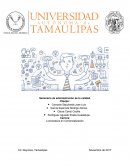 Tecnica de los 5 porques