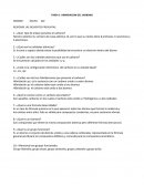 HIBIRIDACION DEL CARBONO