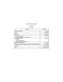 PRESUPUESTO DE INVERSIÓN (NAVY PIER)