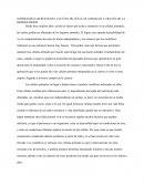 SUPERANDO LOS RETOS DEL CULTIVO DE CÉLULAS ANIMALES A TRAVÉS DE LA BIOINGENIERÍA