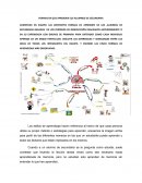 FORMAS EN QUE APRENDEN LOS ALUMNOS DE SECUNDARIA