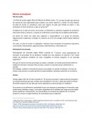 Marco conceptual de un Plan de acción Marco conceptual