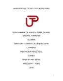 Avance de Monografia de agricultura, guano, salitre y mineria