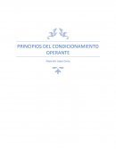 Ensayo sobre La conducta operante