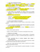 ¿Cómo están constituidos los átomos?