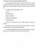 Leopardo de las nieves, animales en peligro de extinción Introducción: ¿Qué es un animal en peligro de extinción?: