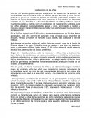 Los derechos de los niños ensayo