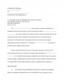 Tema de la Demanda mercantil