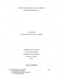 PROPUESTA DE MEJORAMIENTO PARA LA EMPRESA CANGURO INTERNATIONAL S.A.