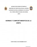 Cuales son las Normas Y Comportamientos de la UNEFA