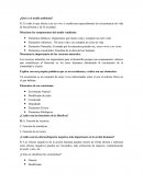 ¿Qué es el medio ambiente?