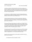 Cuales son las Similitudes Socio-culturales en el caribe