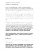 TESIS Las separatas en la Industria en Colombia