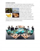 ENSAYO SOBRE EXPORTACIONES.