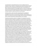 La neuroplasticidad es la potencialidad del sistema nervioso de modificarse para formar conexiones nerviosas