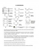 COMO SE DA UN BUEN EL GENOGRAMA