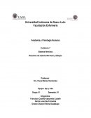 Anatomía y Fisiología Humana Evidencia