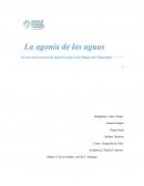 Tema de la Extracion ilegal de aguas de la pampa del tamarugal