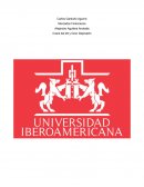 Aportar medidas de precaución que los países podrían implementar para prevenir un suceso de la misma índole.
