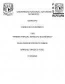 PRIMER PARCIAL, DERECHO ECONÓMICO