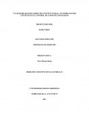 TEMA DE VULNERABILIDAD DEL DERECHO CONSTITUCIONAL COLOMBIANO POR LENTITUD EN EL CONTROL DE CONSTITUCIONALIDAD