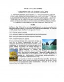 ECOSISTEMA EN LOS CABOS SAN LUCAS