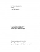 INFORME DE LECTURA AURA