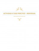 ACTIVIDAD CASO PRÁCTICO - INDIVIDUAL