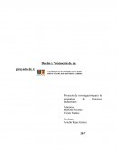 Proyecto de investigación para la asignatura de Procesos Industriales