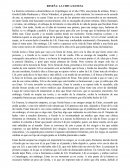 Reseña la chica danesa