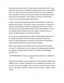 Las sustancias de los sueños