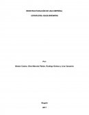 ¿Qué problemas se evidencian en el caso y que los llevó a emprender el proceso de cambio?