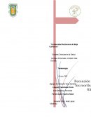 Obre la muerte y los moribundos” – Elisabeth Kübler Ross.