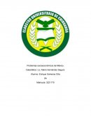 Problemas socioeconómicos de México.