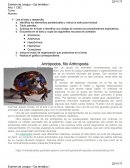 Examen de Lengua – Eje temático