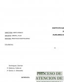 P.A.E. proceso de atencion enfermeria paciente psiquiatrico