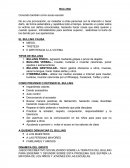 Ensayo sobre el bulling