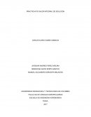 PRACTICA N°6 CALOR INTEGRAL DE SOLUCION