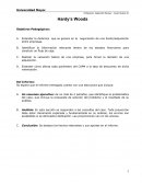 Como se da el nuevo Caso con preguntas sin respuestas HWoods