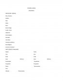 HISTORIA CLINICA PEDIATRICA