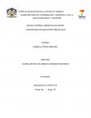 Análisis de la práctica Docente En el jardín de niños Yolanda E. Chacón Rodríguez