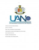 Robo a casa habitacion, investigacion de getsait cuevas leyva