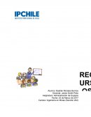 Recursos Humanos Administración de Equipos