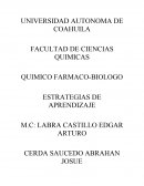 QUIMICO FARMACO-BIOLOGO ESTRATEGIAS DE APRENDIZAJE