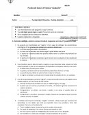 Prueba de lectura 5º básico “Azabache”