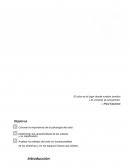 Importancia de la psicología del color