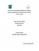 Ensayo de Organización del estado por sus funciones.