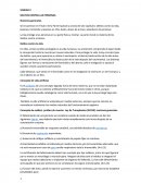 Derecho Penal Delitos contra las Personas
