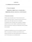 PROBLEMAS AMBIENTALES, CAUSADOS POR LA SOBREPOBLACIÓN DE CANES EN EL CANTÓN PELILEO