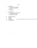 ANTECEDENTES DE LA INVESTIGACION IMPORTANCIA DEL CURADO EN EL CONCRETO